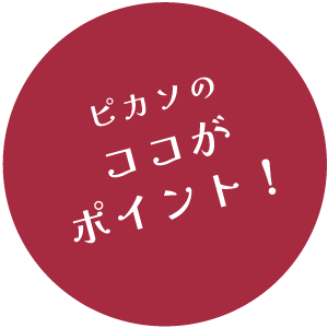 ピカソのココがポイント！