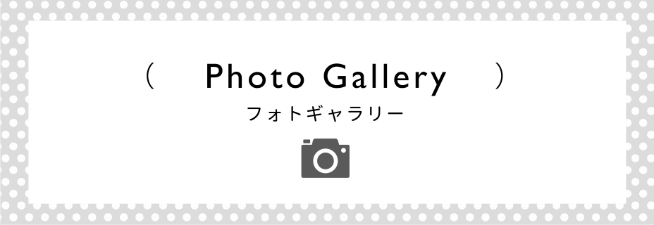 （Photo Gallery）フォトギャラリー